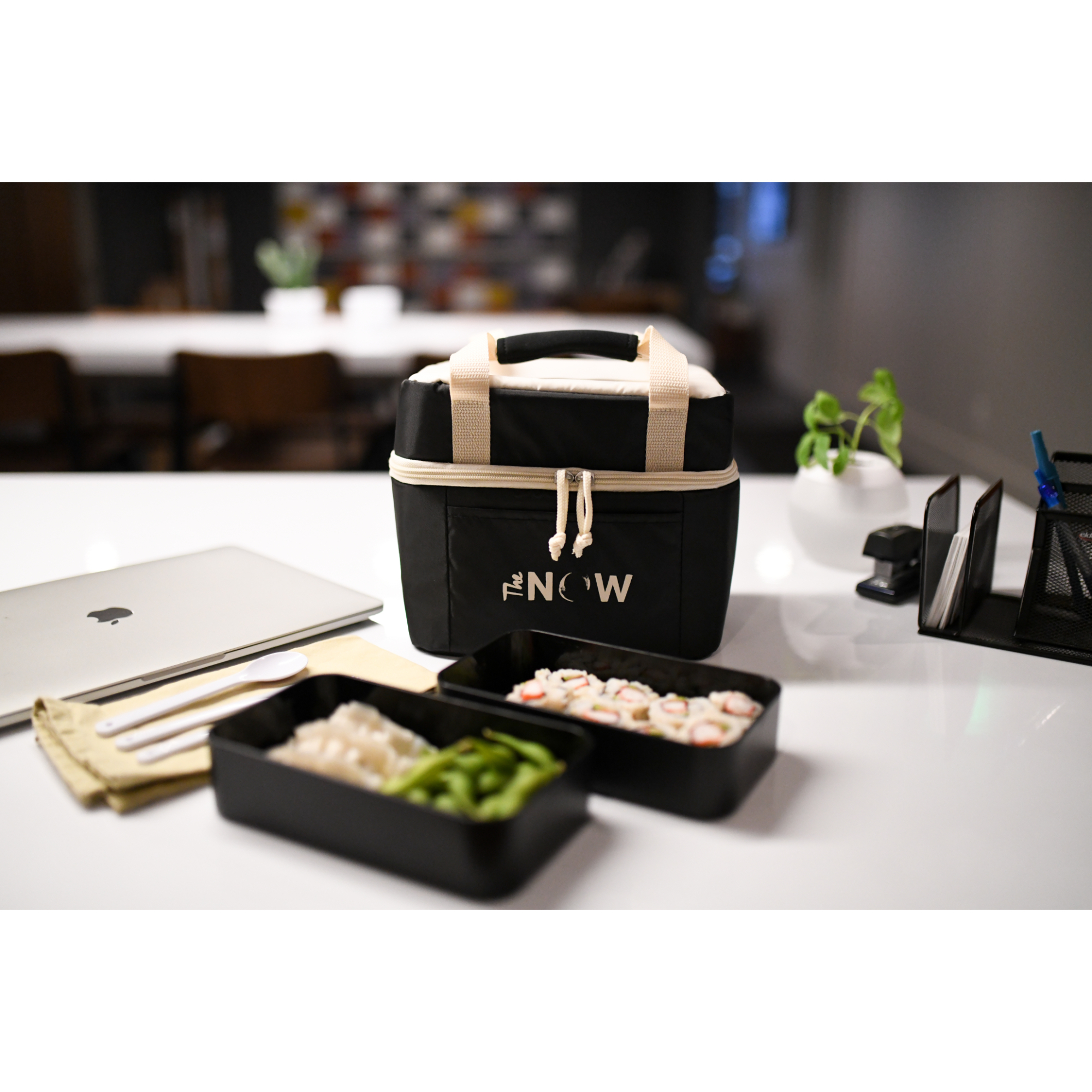 Bento Cooler